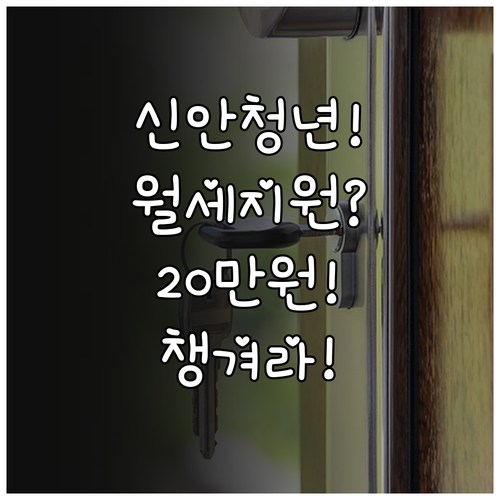 신안군 거주 청년이라면 월세 지원 월..