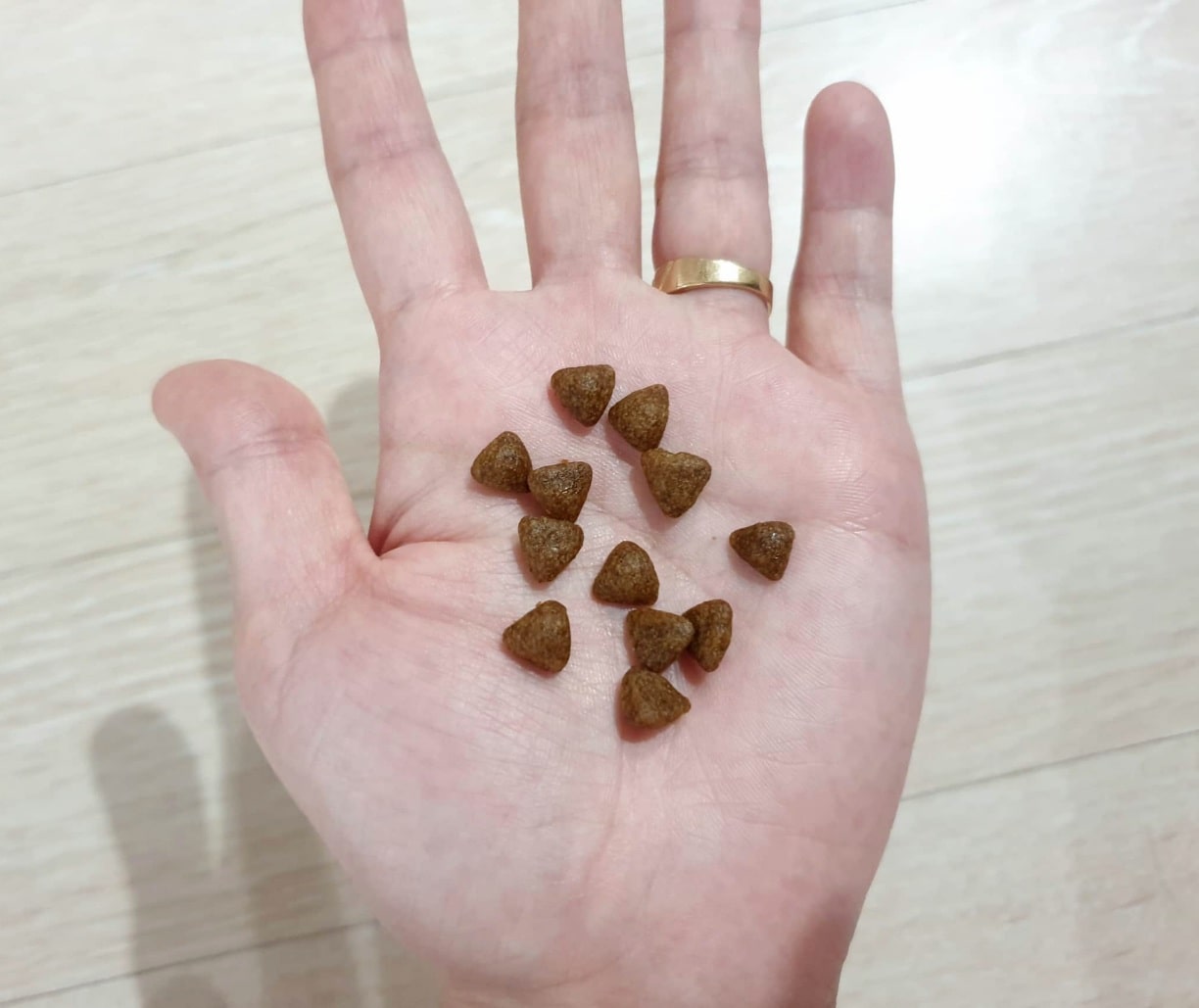 사료알갱이