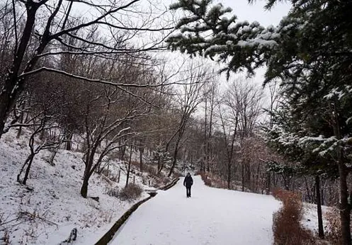도덕산