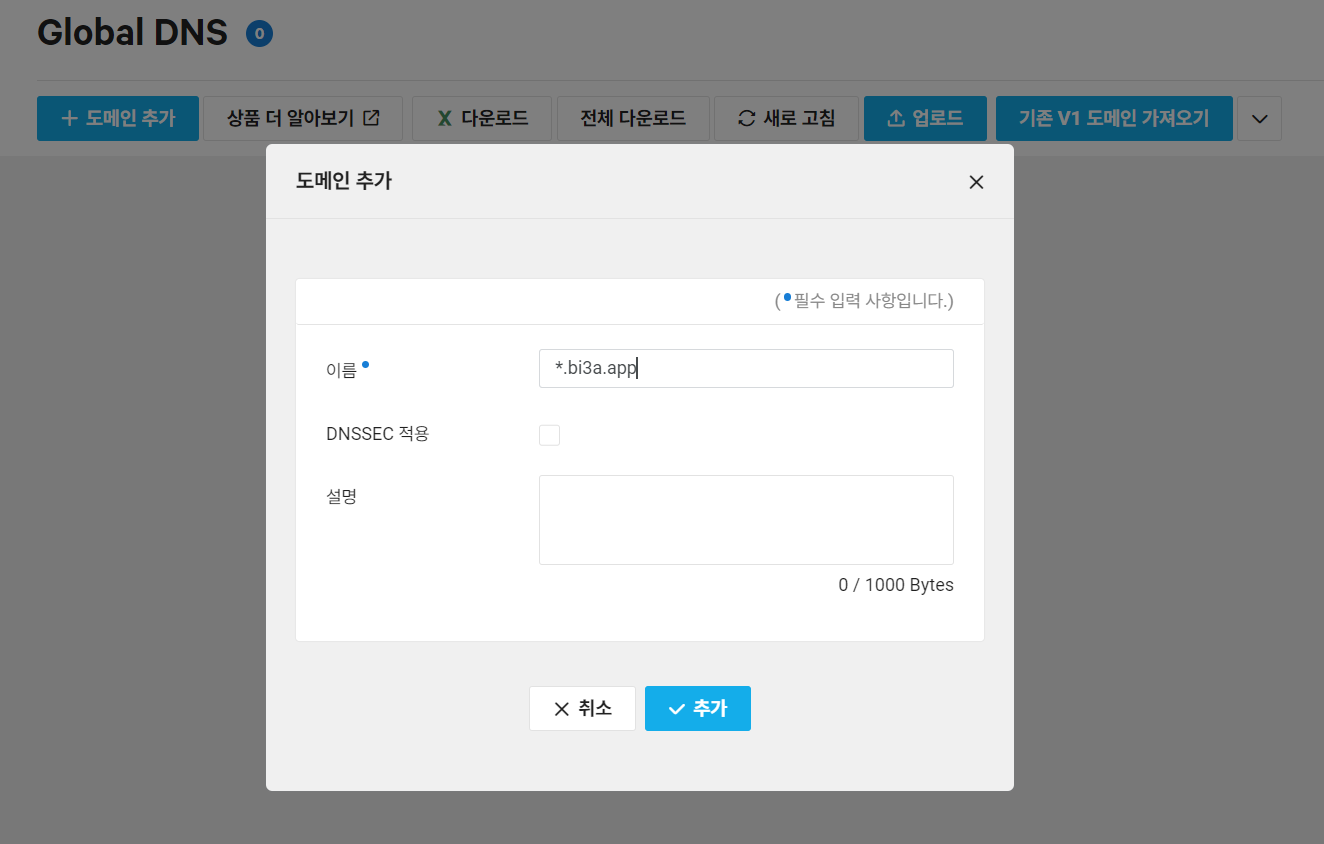global dns 설정 화면