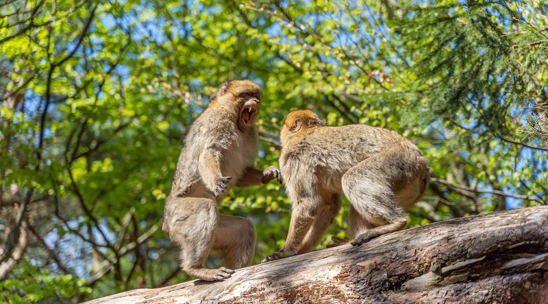 건설현장 하도급의 중요성