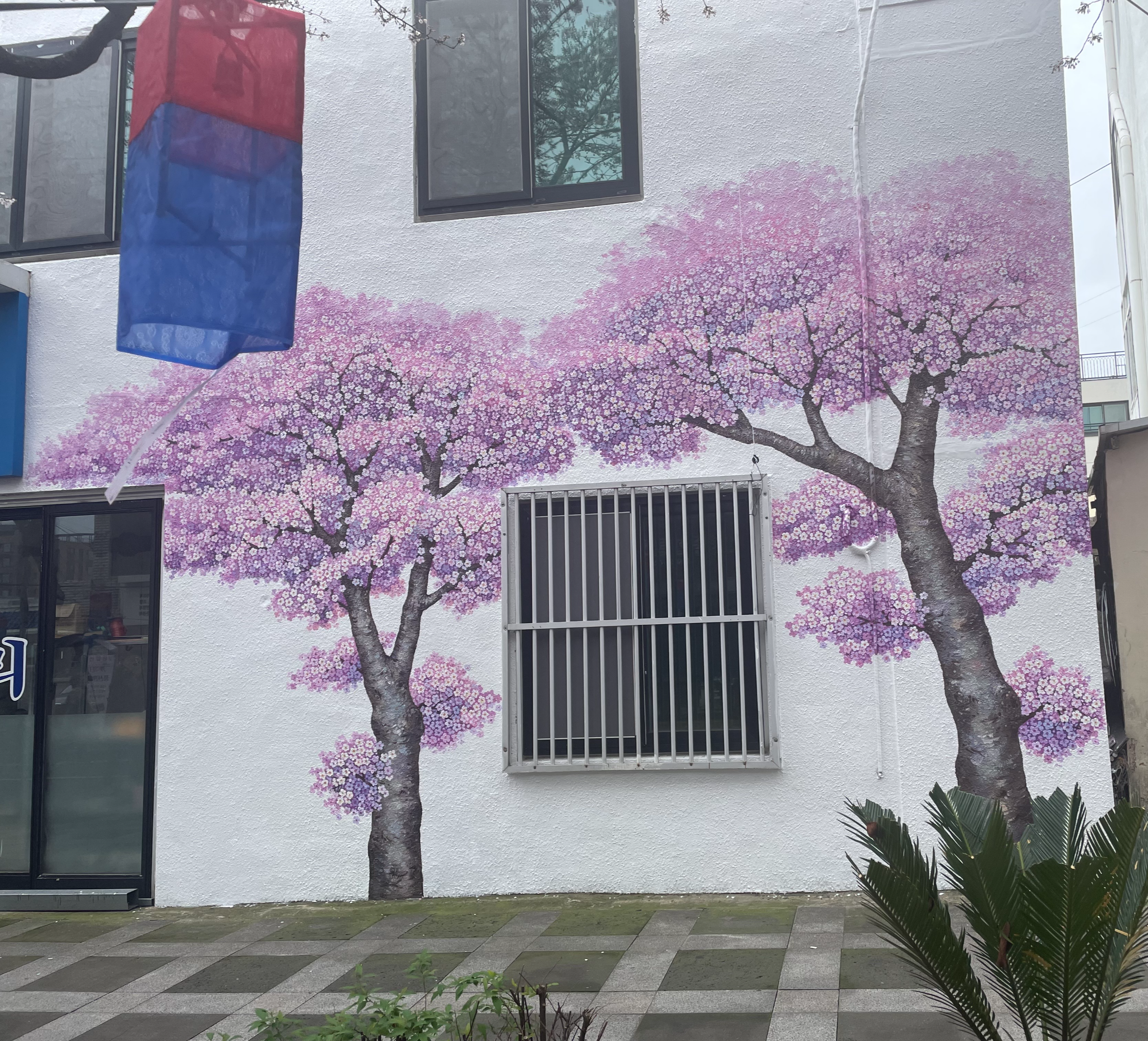벚꽃