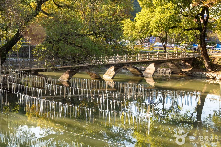 함안 가볼만한곳 베스트10