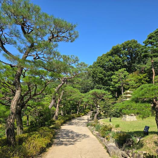 화담숲 모노레일 구간 이용 방법과 요금4
