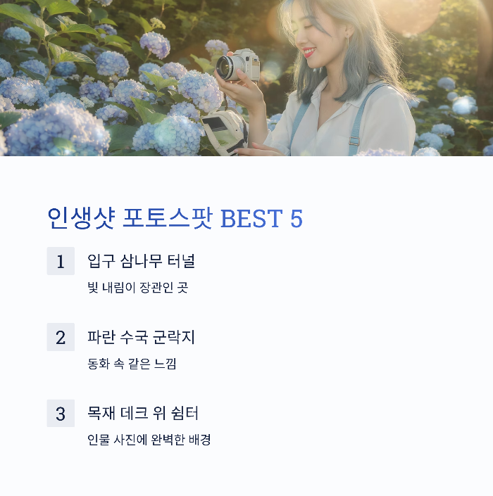 포토스팟 BEST 5