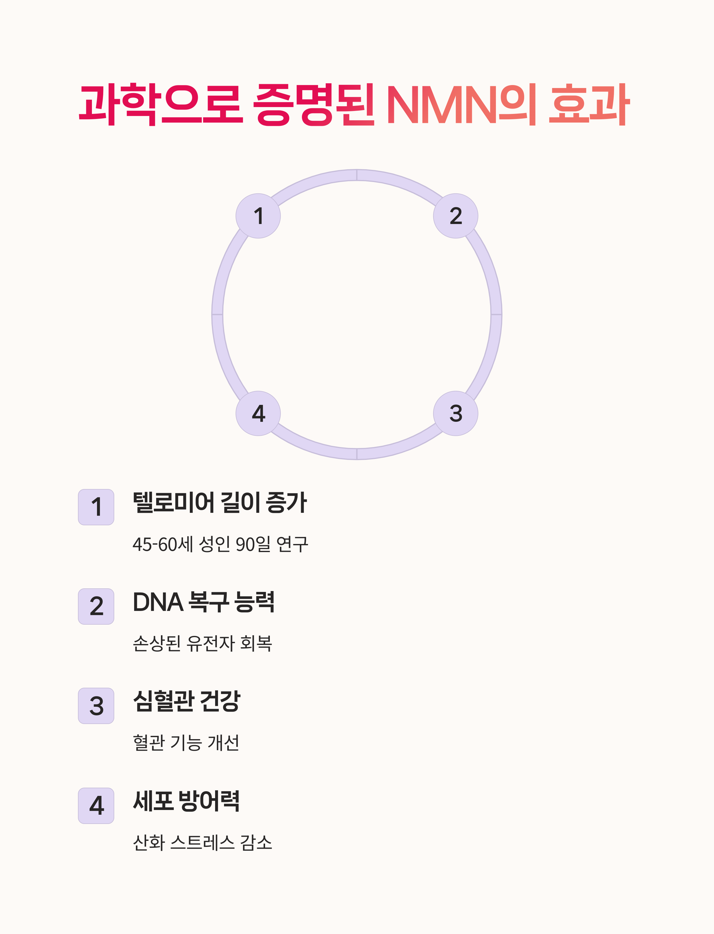 세포에너지, 항산화,