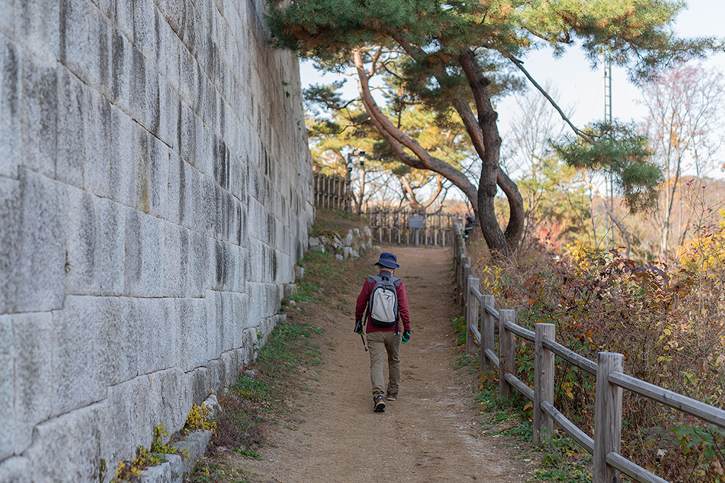 혜화문
성북동
한양도성길
백악구간
서울여행
서울단풍
가을단풍
단풍
성벽
와룡공원