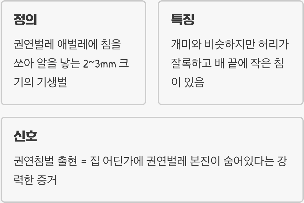 '권연침벌', 넌 누구니? (정의와 생태)