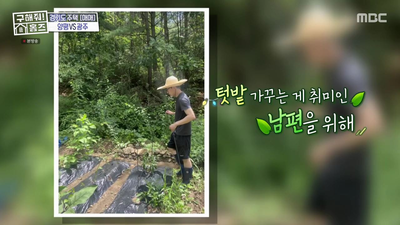 구해줘홈즈 광주시 도척면 궁평리 뜻밖의 주택 하우스 매물 가격 및 구조 인테리어 리모델링 소개