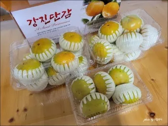태추단감 이란 아직도 그냥 단감이라고 생각하세요 feat 일반 단감과 완벽 비교 분석으로_17