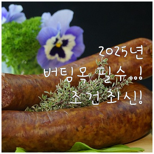 주택도시기금 2025년 버팀목전세자금..