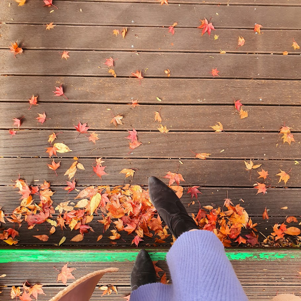 9월 면역력 강화 집중