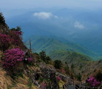 2024년 단풍절정시기