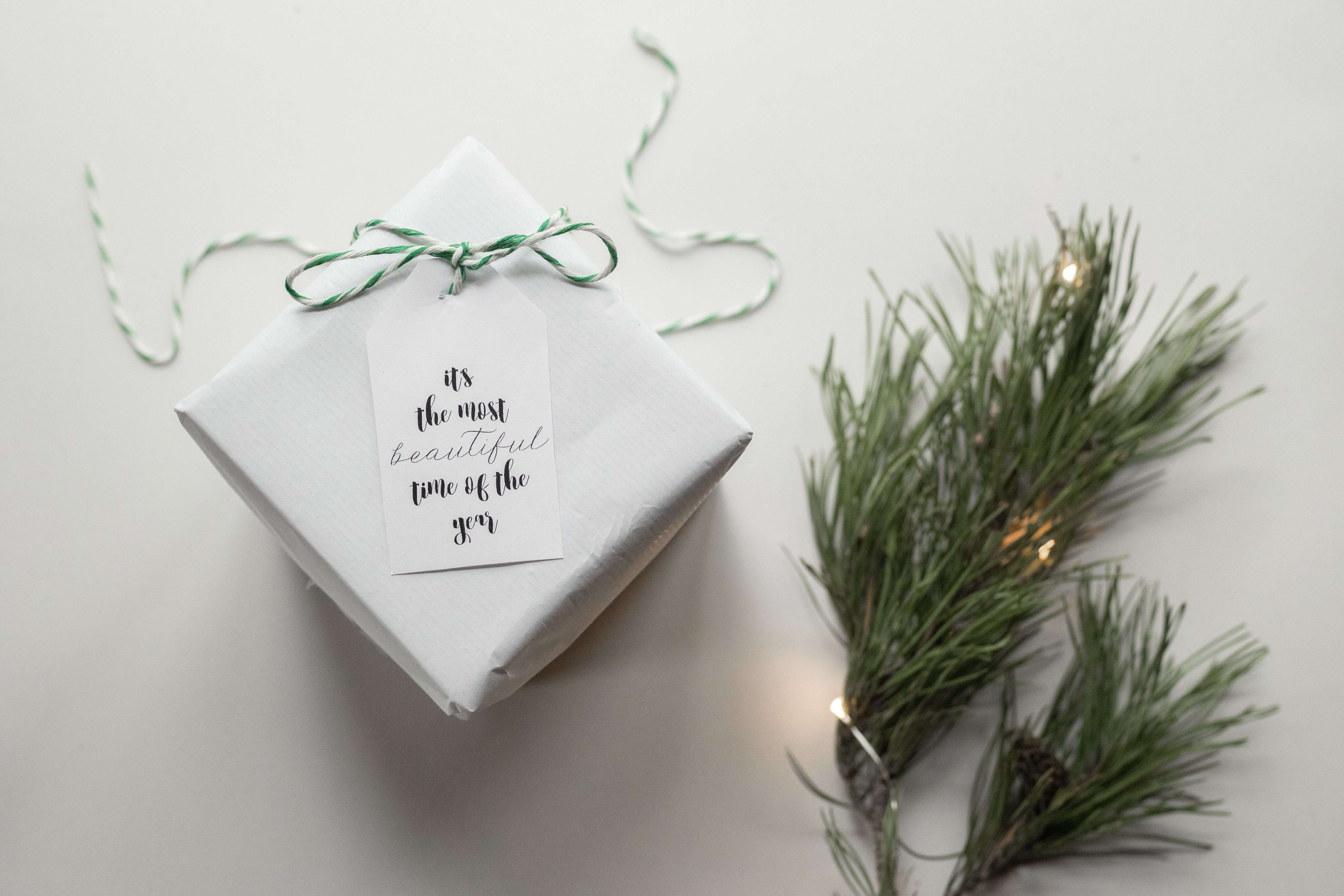 예레미야 47장