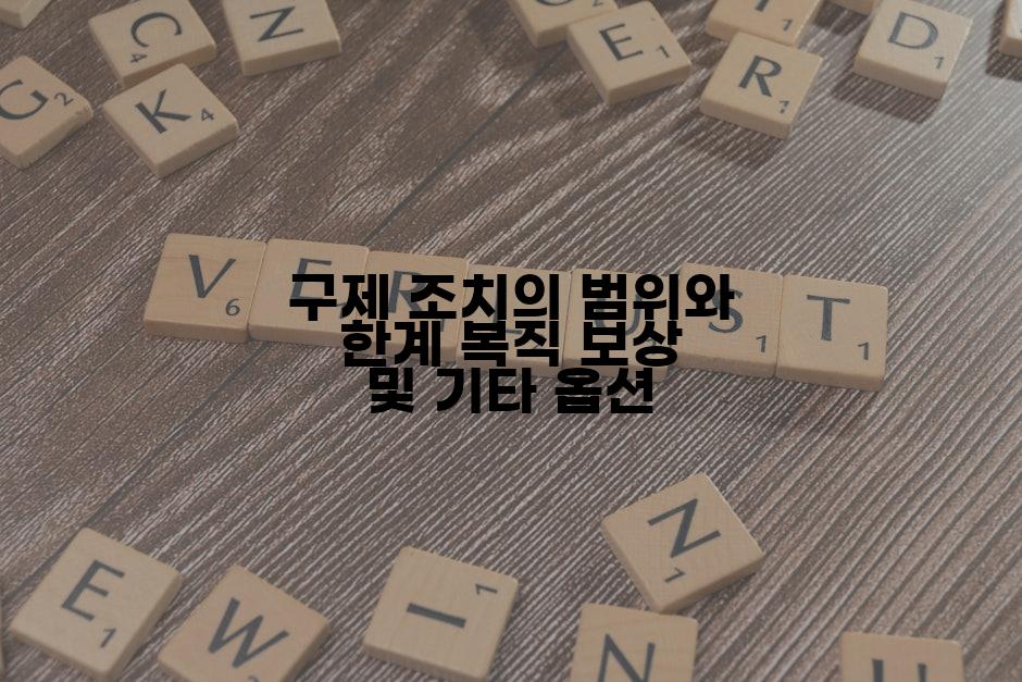 구제 조치의 범위와 한계 복직 보상 및 기타 옵션