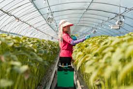 농업직불금 온라인 교육 신청