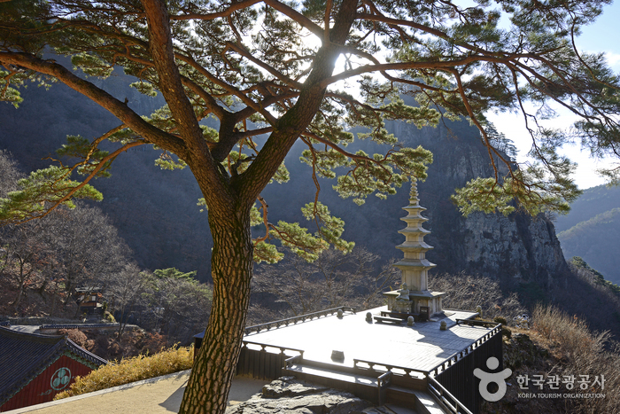 봉화 가볼만한곳 베스트10