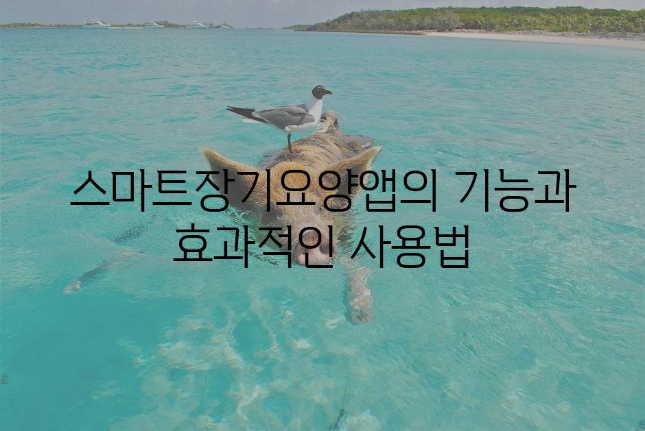 샘플 (1)