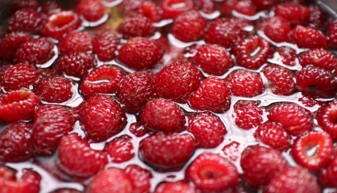 산딸기 세척 곰팡이 제거 및 산딸기 보관 방법 기한 총정리