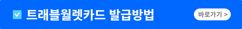 트래블월렛교통카드 사용
