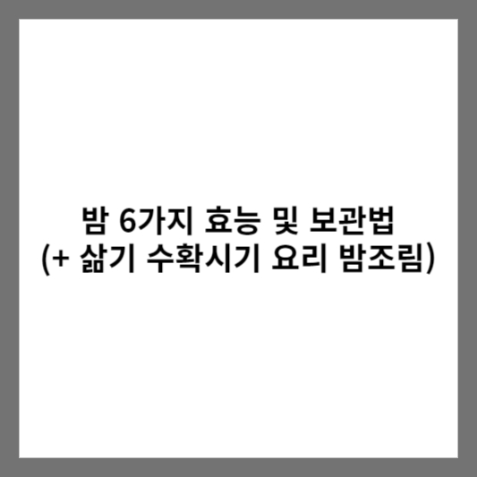 밤 6가지 효능 및 보관법 (+ 삶기 수확시기 요리 밤조림)