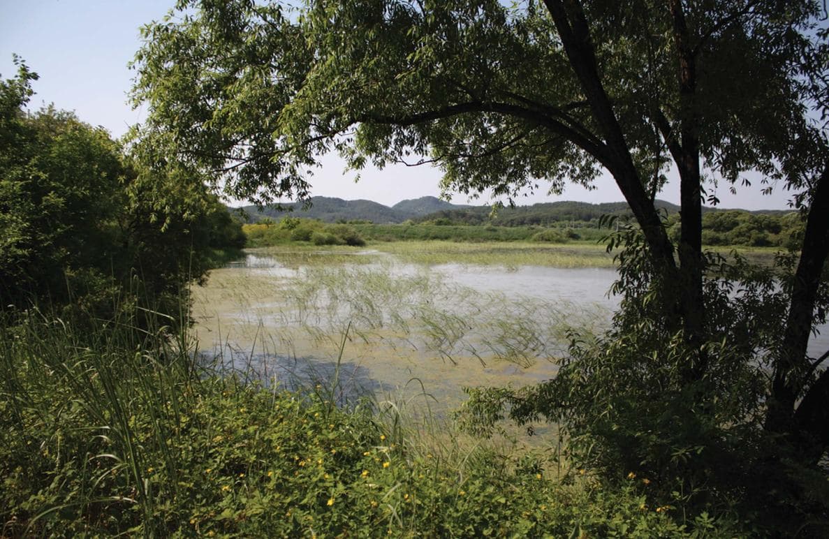 경남 창녕군 우포늪, 우포생태관, 우포출렁다리