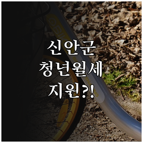 2026 신안군 청년월세 지원 신청 ..