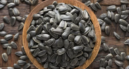 해바라기씨 (Sunflower Seeds)