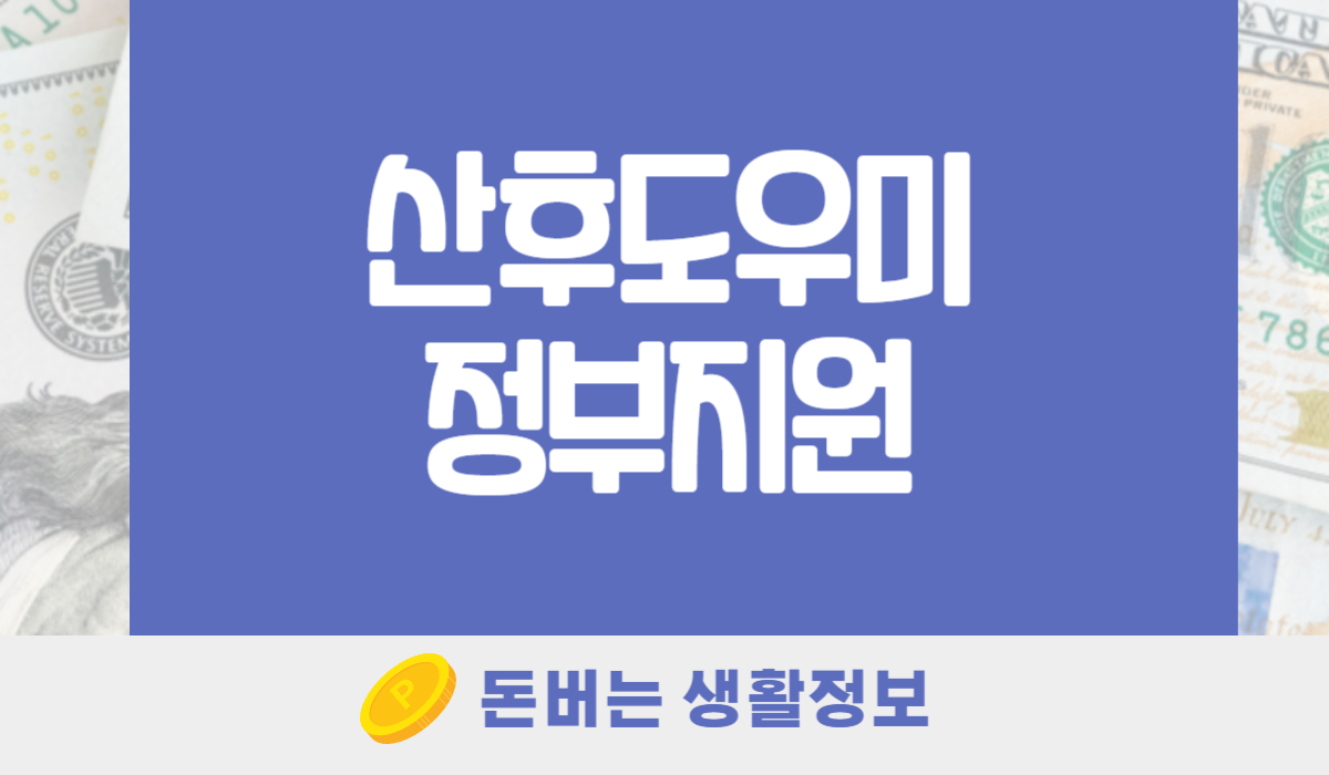 산후도우미 정부지원