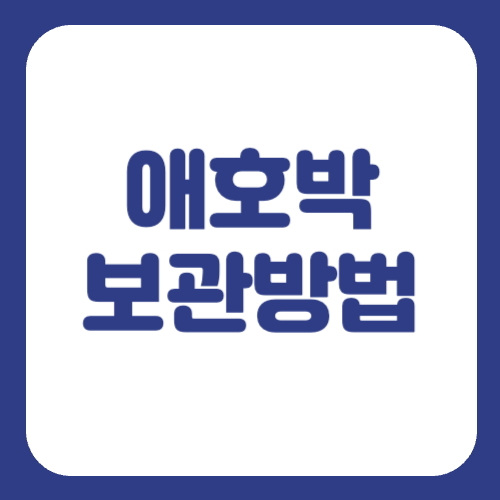 애호박 활용법