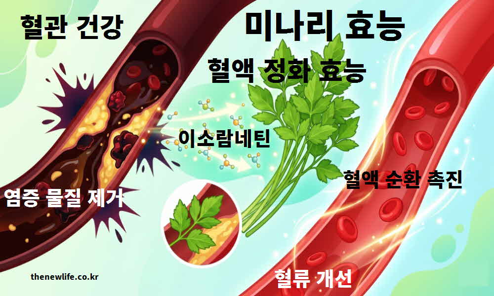 미나리 효능 혈관 건강 혈액 정화