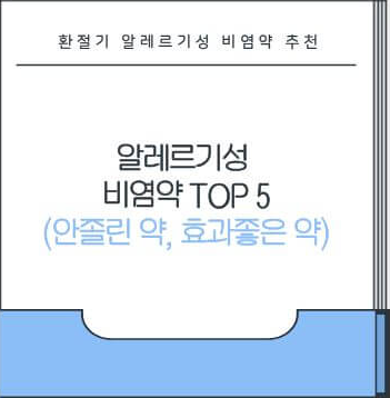 알레르기성 비염약 추천 TOP5