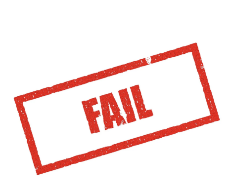 식물 키우면서 겪은 실패와 깨달음