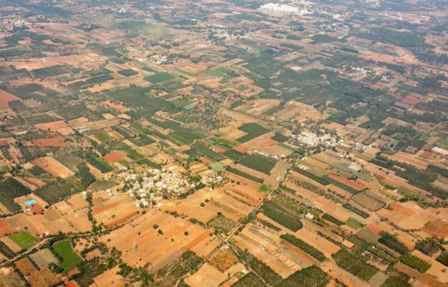 토지거래허가구역