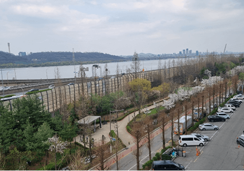 [서울둘레길 14코스 안양천 하류] 초보자도 쉽게 걷는 도심 속 힐링 산책로 완벽 가이드