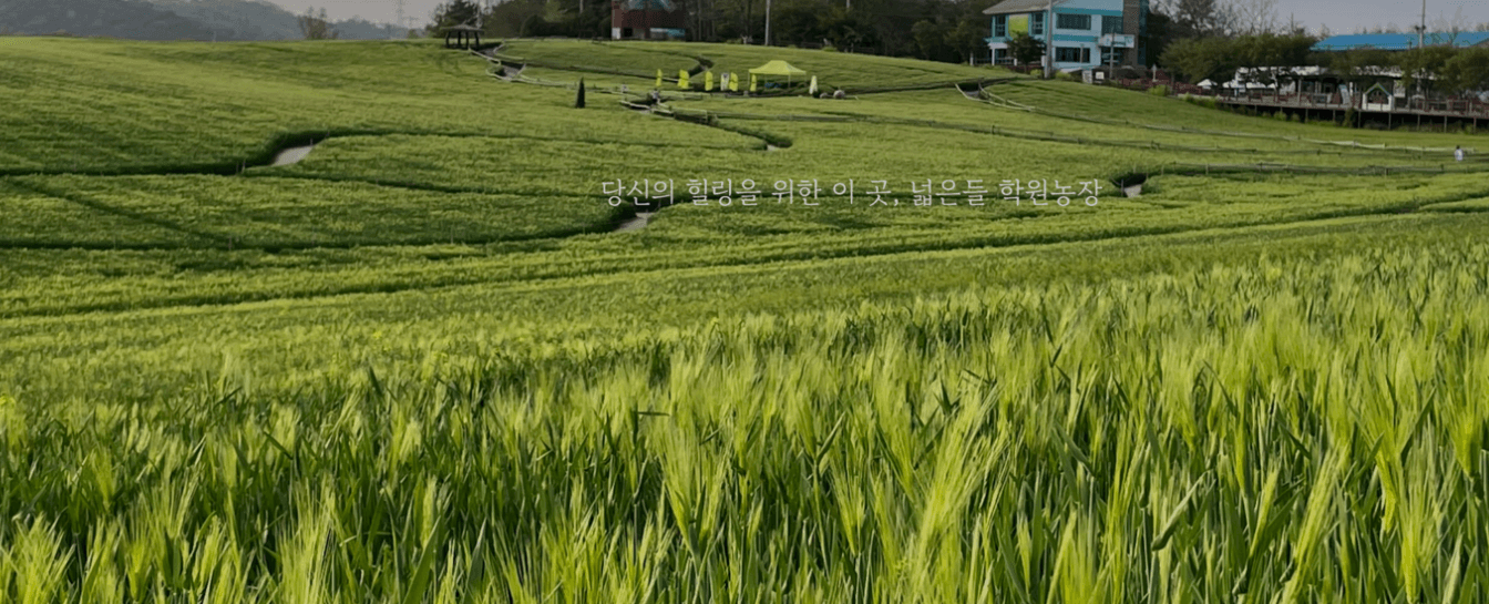 고창 학원 농장 입장료 총정리 관련사진