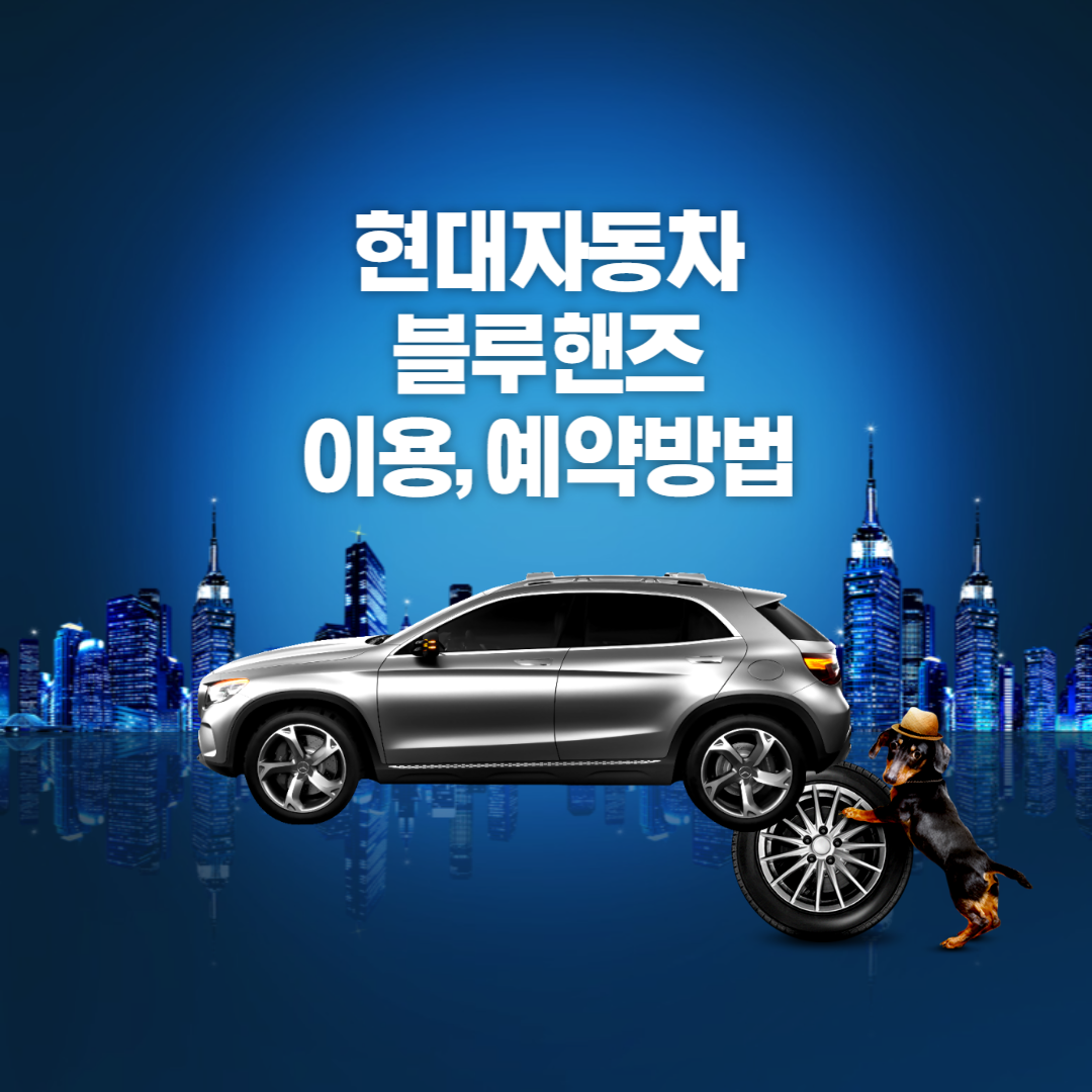 블루핸즈, 현대자동차 블루핸즈, 블루핸즈 예약, 현대자동차 블루핸즈 예약, 현대자동차 블루핸즈 서비스, 현대자동차 블루핸즈 예약방법, 블루핸즈 멤버스