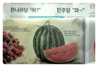 인천 수박껍질 음식물 일반쓰레기 과태료 피하는 법_12