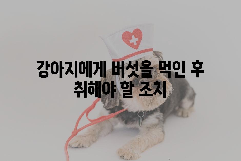 강아지에게 버섯을 먹인 후 취해야 할 조치