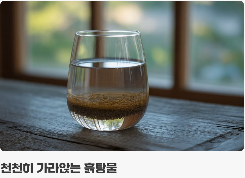 섞여있는 친구들, 어떻게 나눌까?