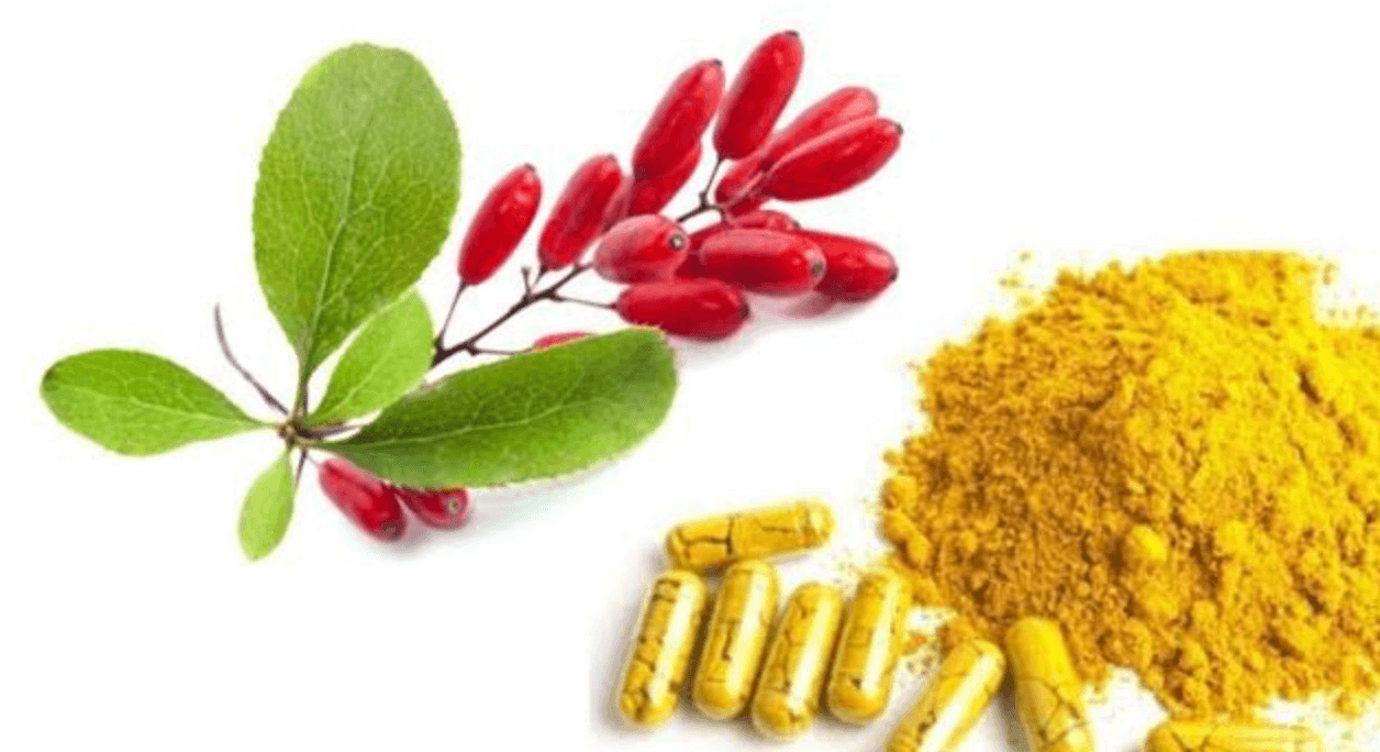 베르베린 부작용