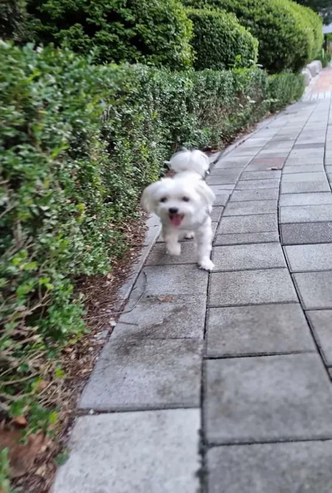 당골공원