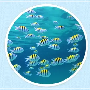 롯데월드-아쿠아리움-입장료-운영-시간-할인