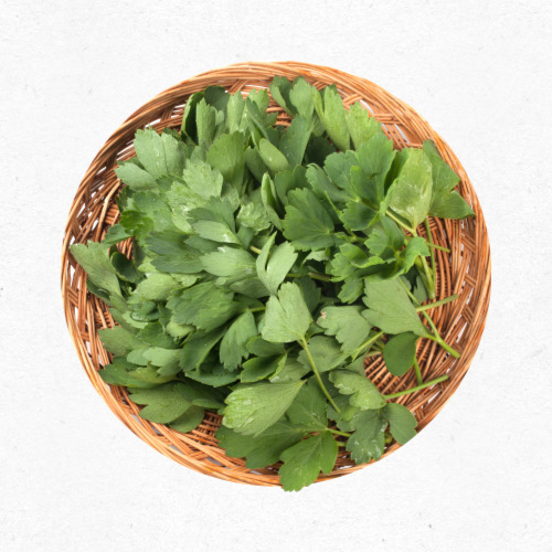 8월 제철나물 방풍나물 향긋한 별미