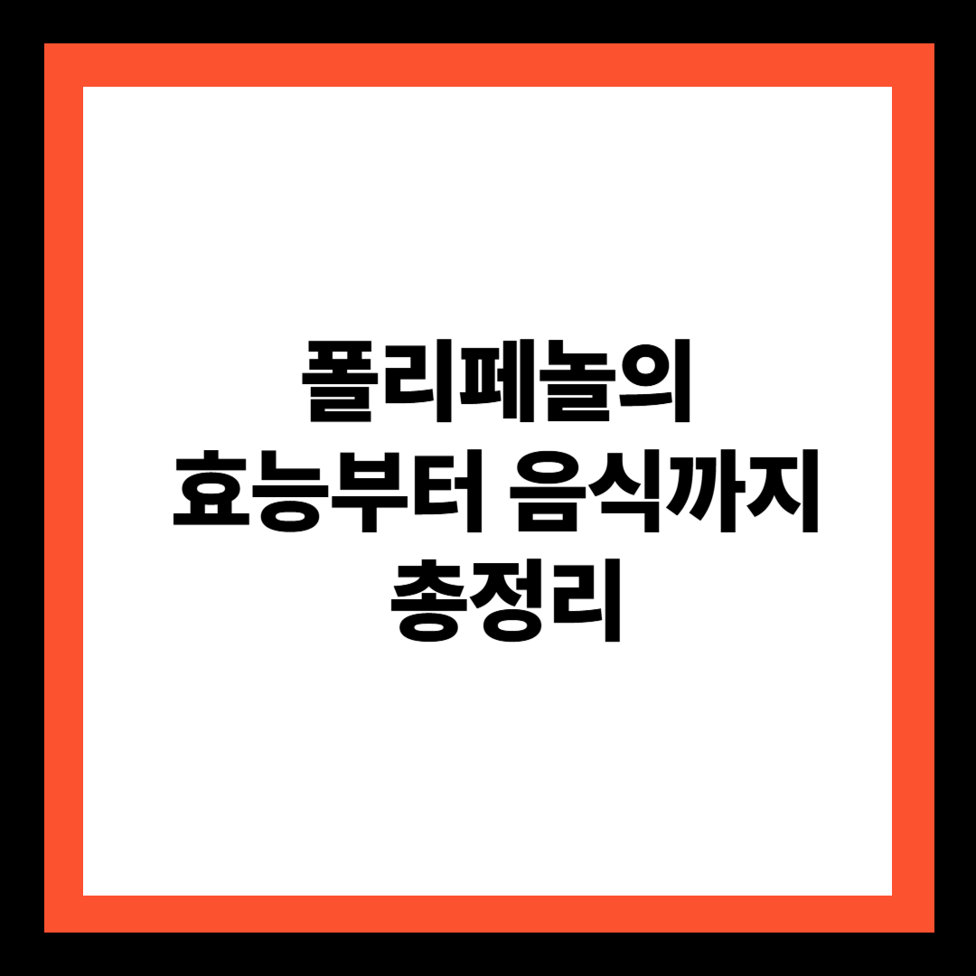 폴리페놀의 효능부터 음식까지 총정리