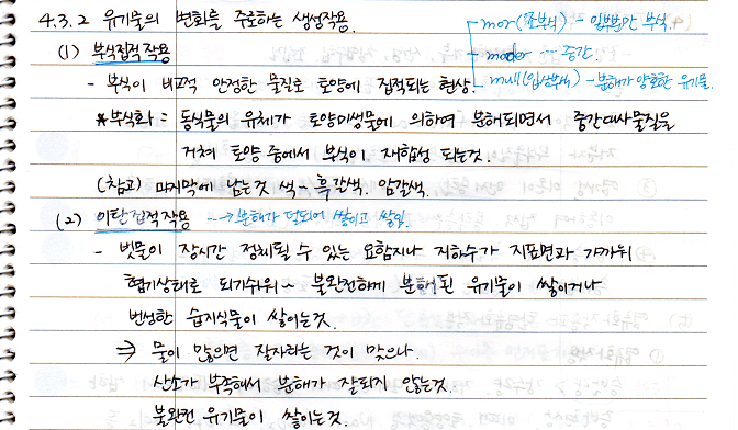 부식집적작용&#44; 이탄집적작용