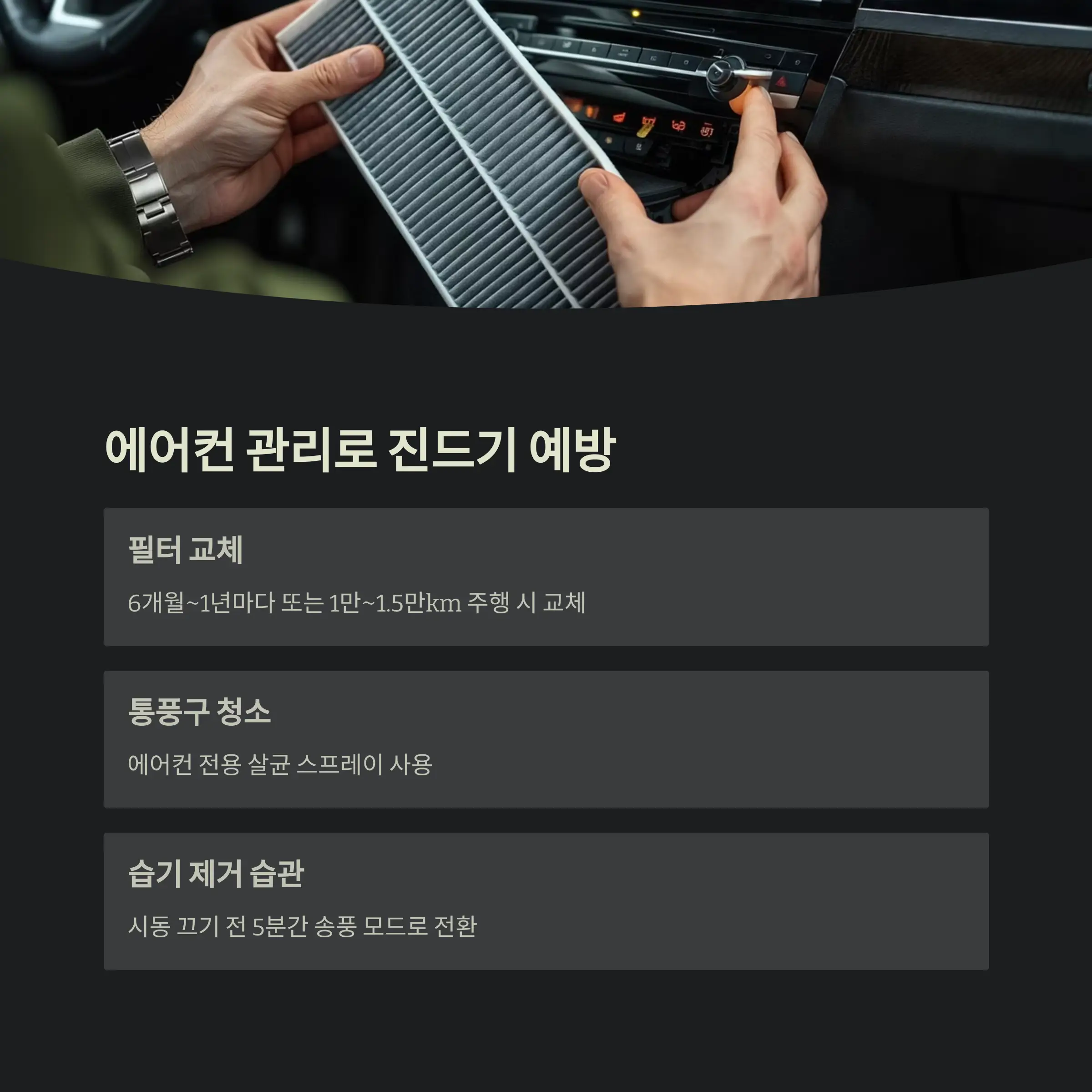 차량 진드기 제거 정보
