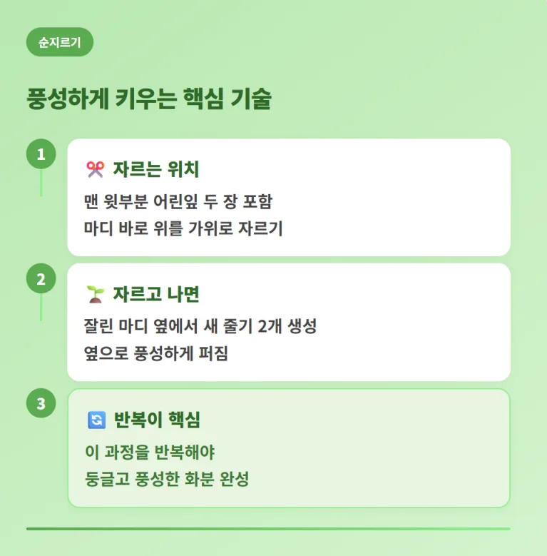 "바질을 풍성하게 키우기 위한 자르는 위치와 반복 관리법 등 순지르기 방법 가이드"