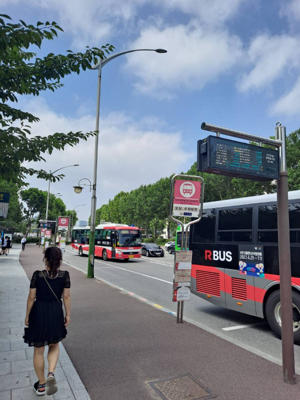 양재시민의숲 광역버스 정류소