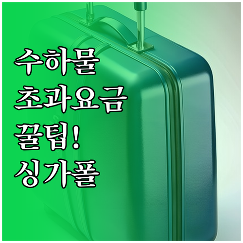 싱가포르항공 위탁수하물 무게와 초과 ..